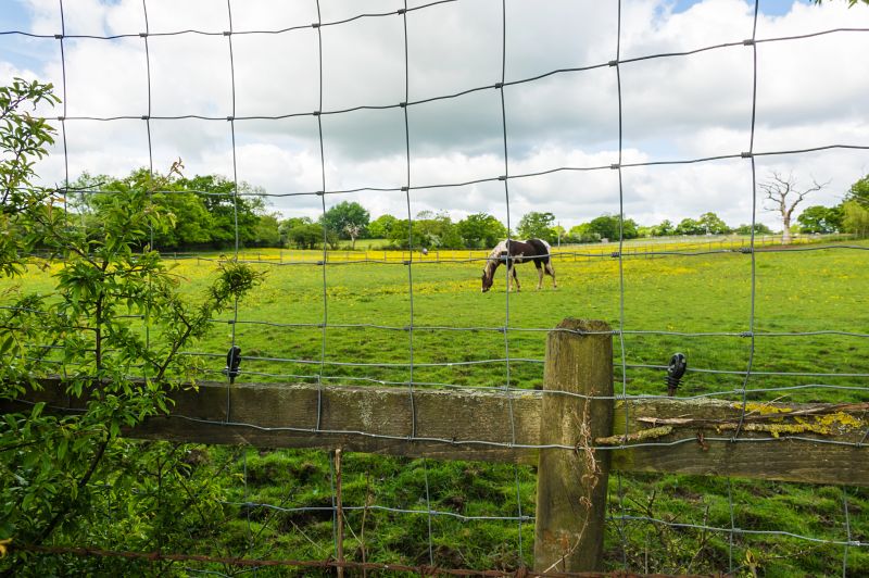 Equestrian Fence Installation
