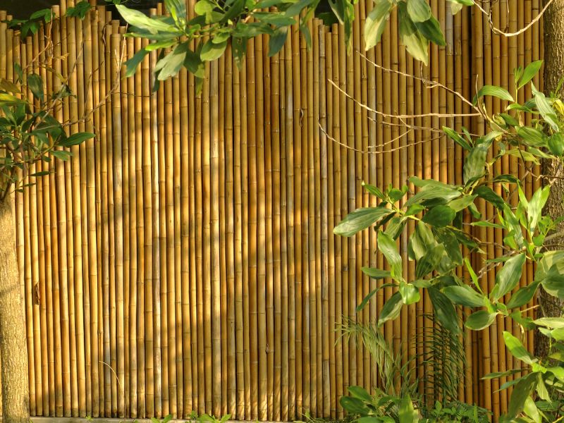 Bamboo Fence